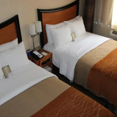 Redford Hotel 2* Стандартный номер с различными типами кроватей фото 15