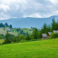 База отдыха Камянка фото 14