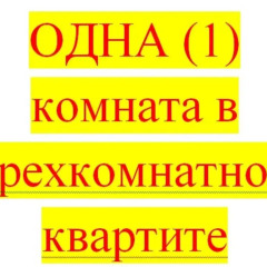 Гостиница Аксинья Стандартный номер с двуспальной кроватью (общая ванная комната)