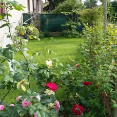 Отель Casa Nanny Монцамбано
