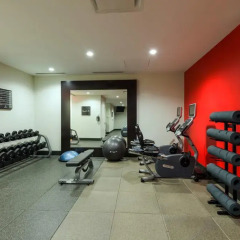 Отель West 57th Street by Hilton Club США, Нью-Йорк - отзывы, цены и фото номеров - забронировать отель West 57th Street by Hilton Club онлайн фитнесс-зал