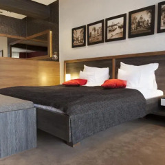 Belgrade Boutique Hotel 4* Стандартный номер с различными типами кроватей фото 4