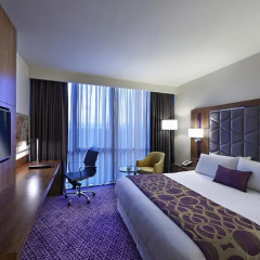Отель Mercure Istanbul Topkapi 5* Номер категории Эконом с различными типами кроватей фото 3
