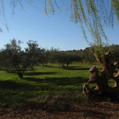 Отель El Molino De Iramala Патерна-дель-Мадера фото 8