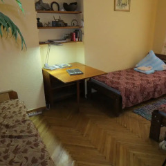 Гостиница Trans-Sib Hostel в Иркутске отзывы, цены и фото номеров - забронировать гостиницу Trans-Sib Hostel онлайн Иркутск комната для гостей фото 2