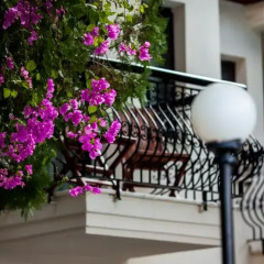 Отель Liberty Hotels Oludeniz 4* Стандартный номер с двуспальной кроватью фото 10