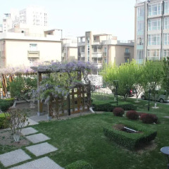 GreenPark Hotel Tianjin 4* Люкс повышенной комфортности фото 5