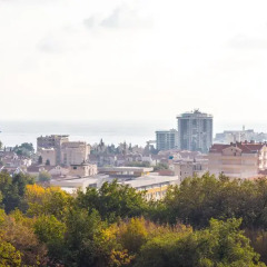 Апартаменты Adriatik Budva apartments Студия с различными типами кроватей фото 14