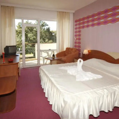 Prestige Deluxe Hotel Aquapark Club 4* Стандартный номер с различными типами кроватей фото 4