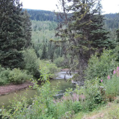 Отель Summit River Lodge & Campsites