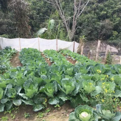 Отель Hoa Chanh Homestay Шапа с домашними животными