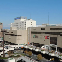Отель Metropolitan Takasaki Томиока фото 2