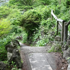 Hotel Ohruri Nasu Shiobara Насусиобара фото 6