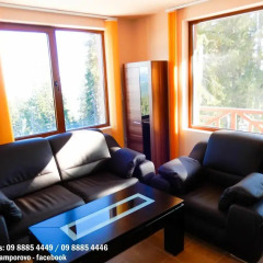 Отель Aparthotel Pine Hills Pamporovo Пампорово комната для гостей фото 2