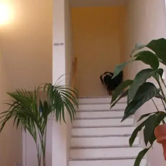 Отель Agriturismo alle Serre Сарцана интерьер отеля