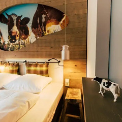 Отель Cocoon Hauptbahnhof 3* Стандартный номер с двуспальной кроватью фото 15