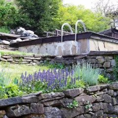 Отель Dzhelepova Guest House- Pool Access Болгария, Боженци - отзывы, цены и фото номеров - забронировать отель Dzhelepova Guest House- Pool Access онлайн фото 5