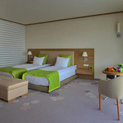 Suite Hotel Sofia 4* Стандартный номер с различными типами кроватей фото 7