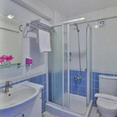 Sunny Garden Nilufer Hotel 3* Стандартный номер с различными типами кроватей фото 4