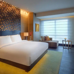 Отель Park Hyatt Guangzhou 5* Стандартный номер с различными типами кроватей