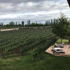 Отель Chaglasian Wine & Suites Сан-Рафаэль пляж