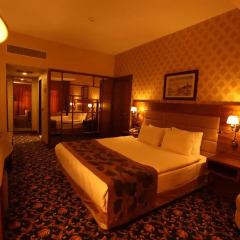 Plaza Hotel Diyarbakir 3* Стандартный номер с различными типами кроватей фото 2