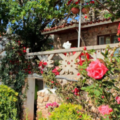 Отель Mustafaraj Apartments Ksamil Албания, Ксамил - отзывы, цены и фото номеров - забронировать отель Mustafaraj Apartments Ksamil онлайн фото 2