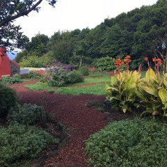 Отель Quinta da Faia Португалия, Орта - отзывы, цены и фото номеров - забронировать отель Quinta da Faia онлайн фото 4