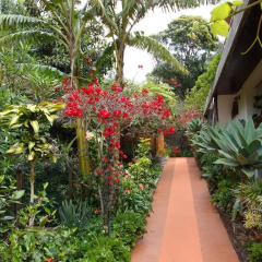 Отель Vila Gama фото 5