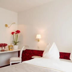 Hotel Amadeus 4* Номер Делюкс с различными типами кроватей фото 14