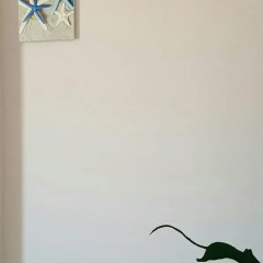 Little Home Hostel Nha Trang Стандартный номер с различными типами кроватей фото 36