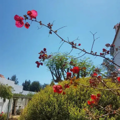 Отель Guesthouse Casadoalto - Ex Casabranca детские мероприятия