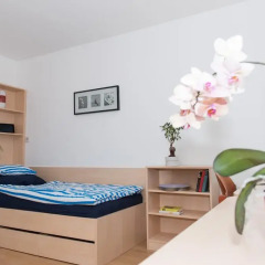 Summer Hostel Salzburg Зальцбург спа фото 2