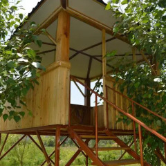 Отель Crossway Camping Номер (категория определяется при заезде) фото 14