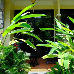 Отель Hoi An Trails Resort 4* Номер Делюкс с различными типами кроватей фото 13