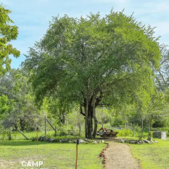 Отель Camp Leopard - Yala Safari Glamping фото 12