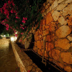 Lycia Hotel Турция, Патара - отзывы, цены и фото номеров - забронировать отель Lycia Hotel онлайн фото 9