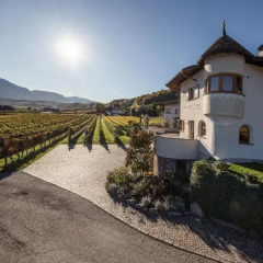 Отель Weingut Donà Аппиано-сулла-Страда-дель-Вино фото 2