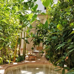 Отель Le Riad Berbere Марокко, Марракеш - отзывы, цены и фото номеров - забронировать отель Le Riad Berbere онлайн бассейн