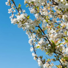 Отель Agroturisme Perola - Adults Only фото 14