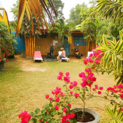 Отель Raj Mahal Inn Шри-Ланка, Ваддува - отзывы, цены и фото номеров - забронировать отель Raj Mahal Inn онлайн фото 6