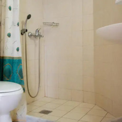 Апартаменты Georgis Apartments Студия с различными типами кроватей фото 48