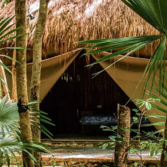 Отель Akumal Natura 3* Стандартный номер с различными типами кроватей фото 10