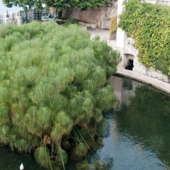 Отель La Rosa di Ortigia Сиракуза фото 2