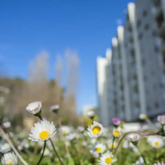 Отель B&B Interno 8