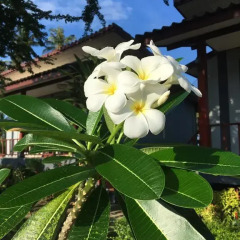 Отель Sunanta Bungalow Ланта фото 9