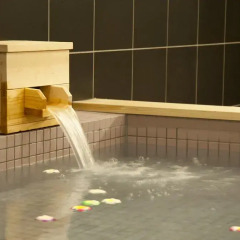 Spa & Capsule Hotel GrandPark-Inn Yokohama бассейн