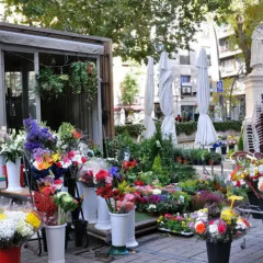 Отель Hostal Naranjos II