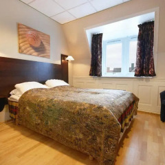 Отель Skansen Hotell 3* Стандартный номер с различными типами кроватей