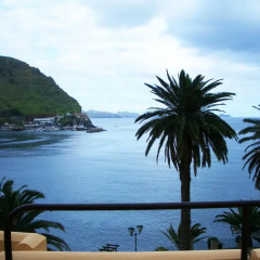 Отель Dom Pedro Madeira 4* Стандартный номер фото 2